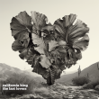 The Last Lovers Cover art