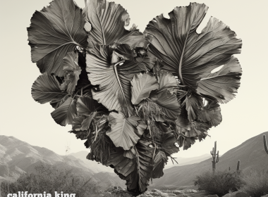 The Last Lovers Cover art