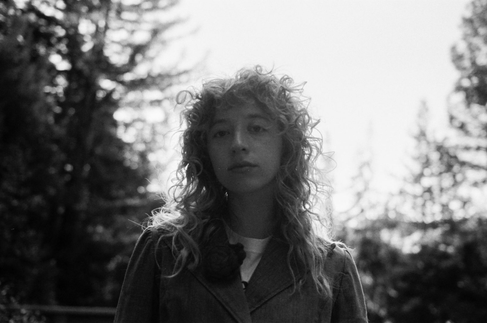 Meels Unveils Debut Album ‘Tales From A Bird’s Bedroom’