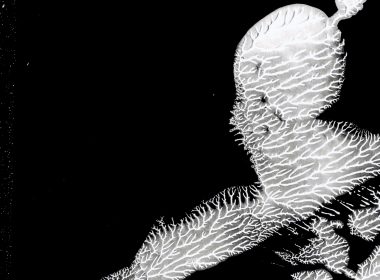 Belum Dogwood Artwork