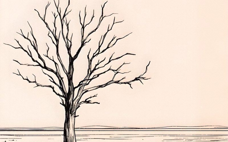 Wait For Rain Artwork