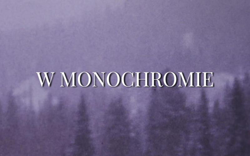 w monochromie