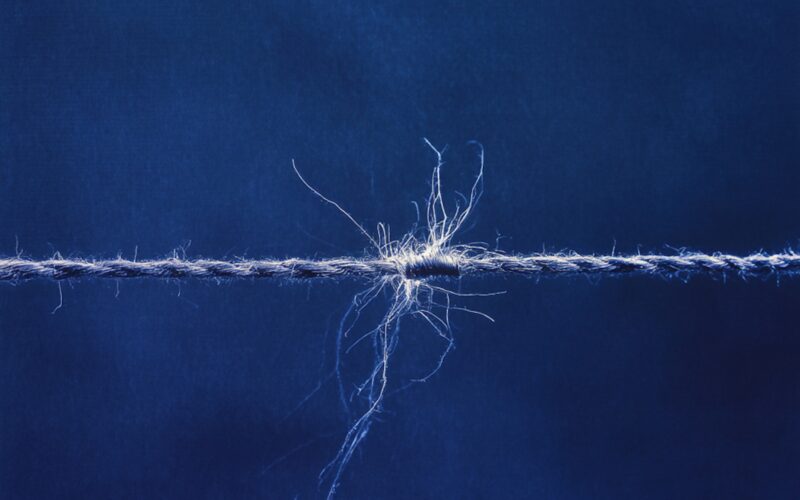 Ben Aubergine Spoke For What I Knew Art