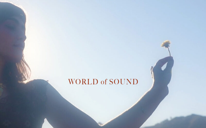 Jonny Corralitos World of Sound Art