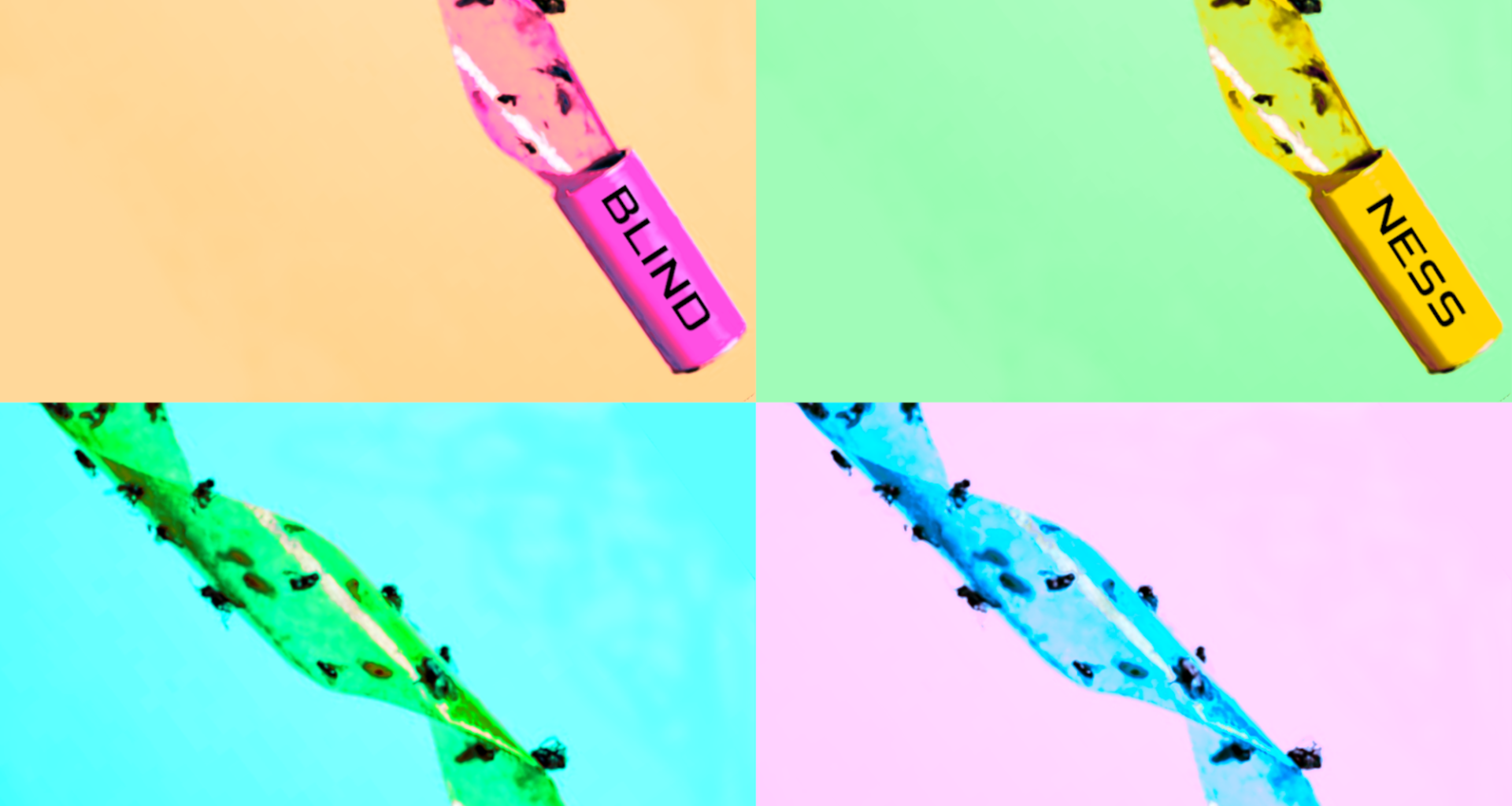 Blindness & Light Fly paper Art