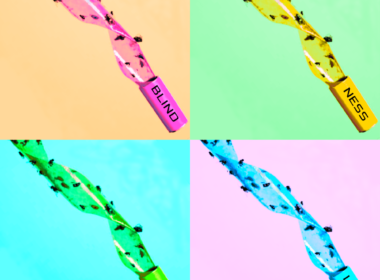 Blindness & Light Fly paper Art