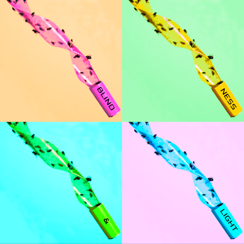 Blindness & Light Fly paper Art