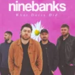 Ninebanks